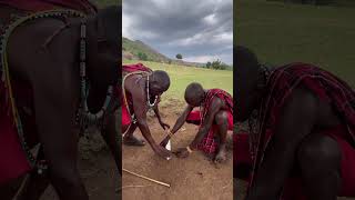 Masai Mara tribe teach how to make fire masaimara maasaimara maasaitribe [upl. by Jimmy]