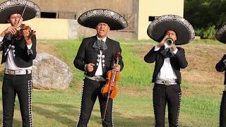 Por Amor a mi Padre  El Mariachi TecalitlÃ¡n [upl. by Adla]