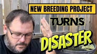 New Breeding Project Turns Disaster [upl. by Liman]