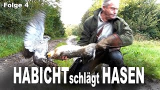 Beizjagd mit Habicht  JAGD TOTAL Folge 4 [upl. by Seabury]