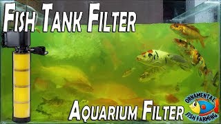 How to setup fish tank filteraquarium filter Crystal Clear  filtration [upl. by Yahc]