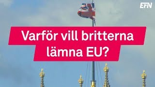 Vad är Brexit [upl. by Adeys348]