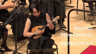 Oboe Concerto in D minor 2nd mov  A Marcello  분당만돌린오케스트라 [upl. by Nole]