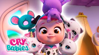 Ep 16  Dotty the pets arent feeling well  Cry Babies Magic Tears 💕New Episode Cartoons for Kids [upl. by Amla]