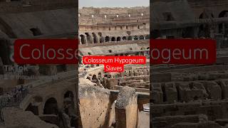 Colosseum Hypogeum Slaves [upl. by Akyre957]