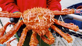 25 Alaska cruise vlog part 2  Ketchikan amp Juneau [upl. by Akiret847]