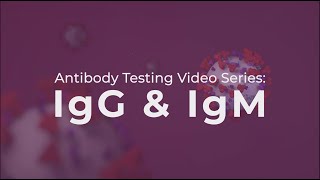 Antibody Testing IgG and IgM explained [upl. by Ridinger]