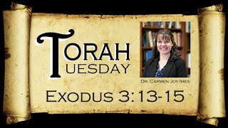 Torah Tuesday  Exodus 31315 [upl. by Yelda]