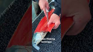 Alaska Salmon Filleting Technique alaska fishing cabinlife outdoorliving alaskalife [upl. by Socrates]