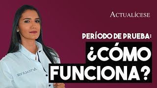 Período de prueba ¿cómo se pacta en los contratos de trabajo [upl. by Ykciv]