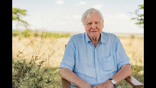 David Attenborough Narrates a Woman With Bruxism and Pseudobulbar Affect MaskGCT TTS AI Voice Test [upl. by Fillbert]