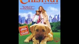 Chestnut Hero Of Central Park by Brahm Wenger Chestnuts Theme 2004 [upl. by Anneuq]