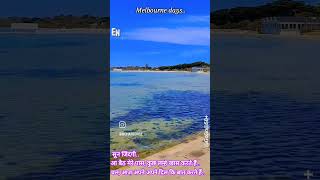 Seawind garden Sorrento beach Melbourne trending travel melbourne australia [upl. by Koh]