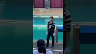 When Lady the Mime Takes Over SeaWorld – Get Ready to Laugh [upl. by Otrebide42]