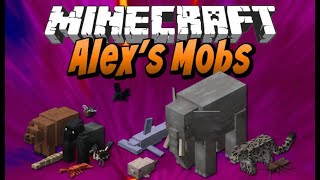 DOMESTICATION INNOVATIONALEXS MOBS PETSHOP UPDATE [upl. by Lodge]