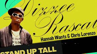 Dizzee Rascal X Hannah Wants amp Chris Lorenzo  Stand Up Tall Bassline Grime Bootleg [upl. by Aiclef]