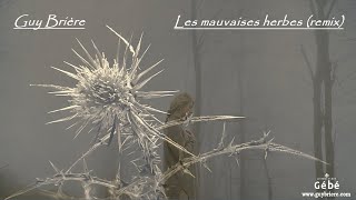 Les mauvaises herbes remix  Guy Brière  Vidéoclip officiel [upl. by Dinnie]