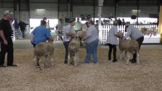 2016  Sept 26th  Corriedale Show [upl. by Jess584]