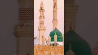 Beautiful Islamic Video islamicstatus beautifullslamic shorts shortsbeta FaithQuranRecitation [upl. by Amelus]