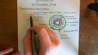 Thrombosis and Antithrombotic Drugs Part 1 [upl. by Dong550]