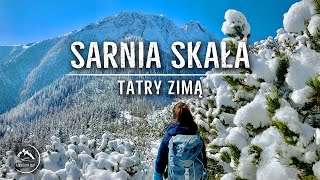 Sarnia Skała  Tatry zimą  Dolina Strążyska Ścieżka nad Reglami 05042021 [upl. by Ilrebmyk]