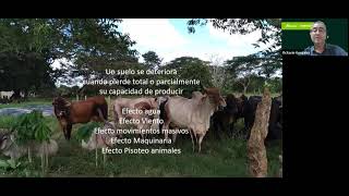 Sostenibilidad y productividad en el manejo de pasturas para la producción lechera [upl. by Trow877]