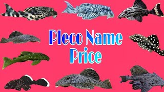 TOP 36 Pleco Fish Name and Indian price [upl. by Ela637]