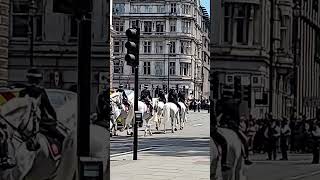 Over a Dozen Mounted Female Police on White Horses Ride Through Central London [upl. by Osnola]