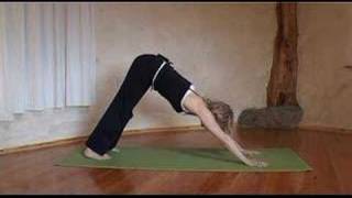 Yoga Downward Facing Dog with Esther Ekhart [upl. by Atram351]