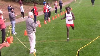 Brookline vs Milton vs Natick  Boys Varsity XC Race [upl. by Drolyag]