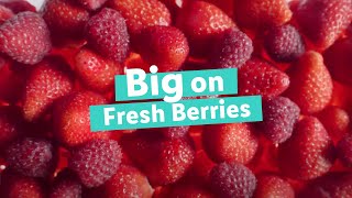 Big on Fresh Berries TV Advert  Lidl GB [upl. by Tabina]