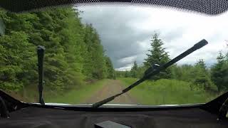 Kielder Forest Rally 15 June 2024 Falstone 2 SS4 [upl. by Esirrehc]