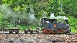 Wassertalbahn Rumänien Teil 2 HD [upl. by Ateekram]