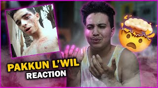 Pakkun  LWIL Official Music Video Reaction [upl. by Fabron440]