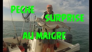 🎣 une technique spéciale en bateau pour le maigre ou la courbine🎣 28 [upl. by Taddeusz]