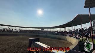 LOS GLADIADORES DE JOSE AGUILAR Vs EL BERIJAS BLANKAS DE JOSE SANTOS EN RANCHO EL BAJIO DE IN 9824 [upl. by Suiluj]