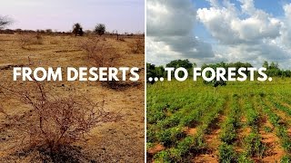 Ecosias planting sites in Lilengo Burkina Faso [upl. by Gonnella734]