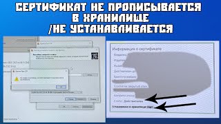 Сертификат не Устанавливается в Хранилище [upl. by Elidad]