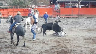 Toros Busca Caballos En El Rancho La Ilusión de moroleon Gto El 4to Aniversario [upl. by Gustav]