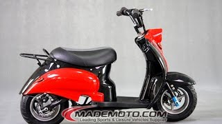 250W Mopped Electric Scooter ES2001 [upl. by Scribner]