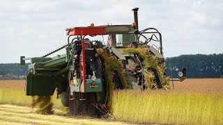 Flax harvest  vlas plukken  récolte de lin  DePoortere flax machine [upl. by Amleht]