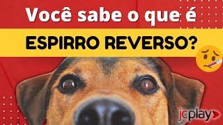 ESPIRRO REVERSO Veterinário explica como identificar os sintomas e tratálos [upl. by Yendor145]