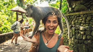 EIN TRAUM WIRD WAHR l Backpacking Bali Indonesien Vlog 21 [upl. by Akena]