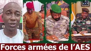 Armées de lAES  Victoires décisives en Afrique [upl. by Thirza]