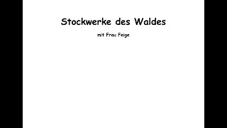 Stockwerke des Waldes [upl. by Toddy]