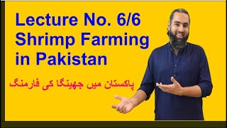 Shrimp Farming in Pakistan [upl. by Shishko361]