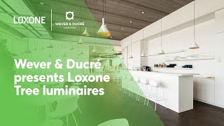 Loxone x Wever amp Ducré Treebased designer luminaires [upl. by Rodge]