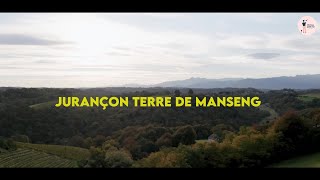 Jurançon terre de manseng [upl. by Issor]