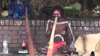 Австралийский Папуас играет на диджериду Сидней Австралия Papuan playing the didgeridoo Sydney [upl. by Willner]