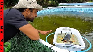 BUILDING a FLOATING Baby FISH NURSERY [upl. by Menides]